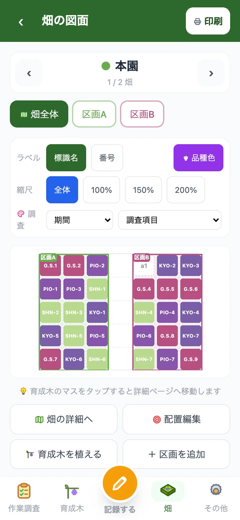 畑の図面ができる